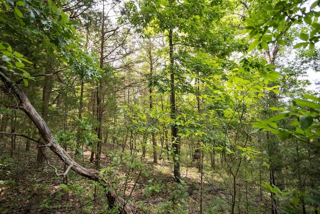 TBD Woodbury Dr, Forsyth, MO 65653