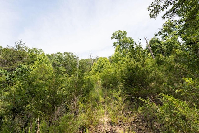 TBD Woodbury Dr, Forsyth, MO 65653