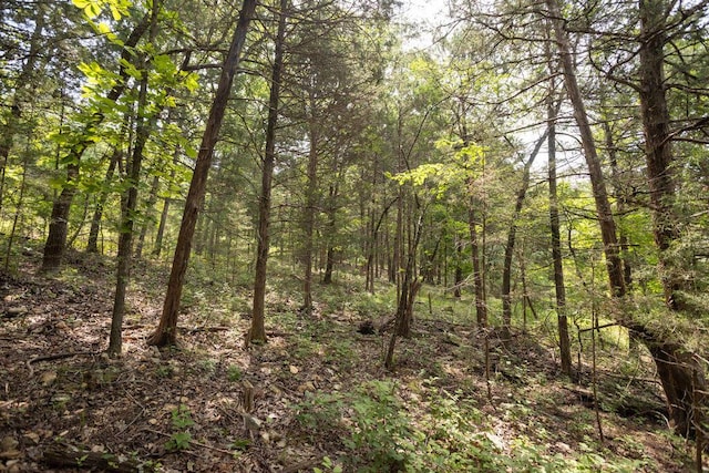 TBD Woodbury Dr, Forsyth, MO 65653