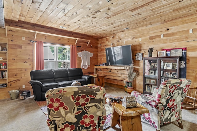 11996 N Farm Rd Unit 119, Brighton, MO 65617 - carpeted living room with wooden walls and wood ceiling