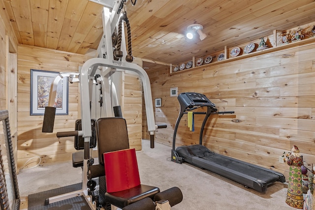 11996 N Farm Rd Unit 119, Brighton, MO 65617 - workout room with wood walls, carpet, and wooden ceiling