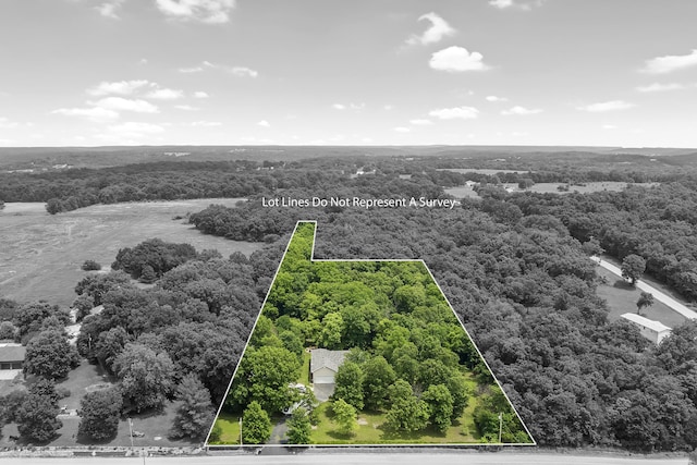 11996 N Farm Rd Unit 119, Brighton, MO 65617 - view of property location with a forest and property parcel outlined