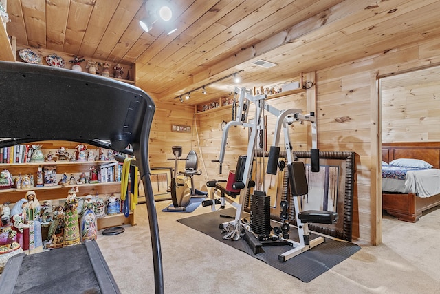 11996 N Farm Rd Unit 119, Brighton, MO 65617 - exercise area with wooden walls, carpet, wood ceiling, and track lighting