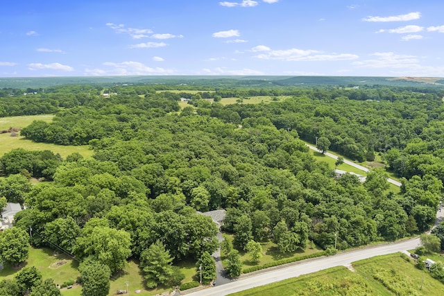 11996 N Farm Rd Unit 119, Brighton, MO 65617 - drone / aerial view of a heavily wooded area