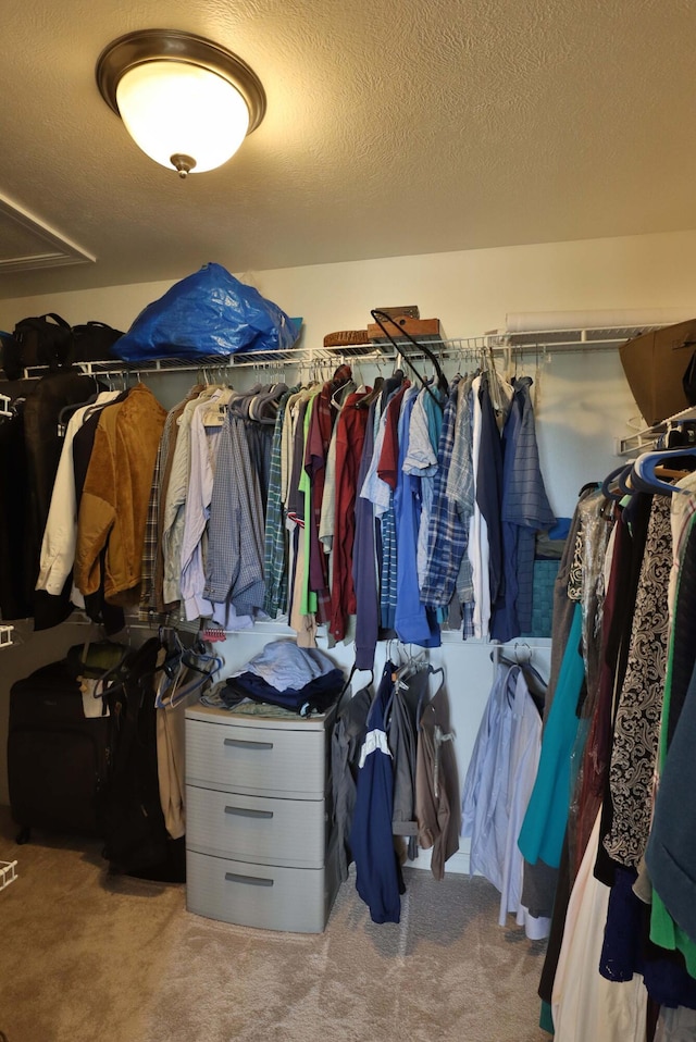 185 Tanner Rd, Branson, MO 65616 - walk in closet with carpet floors