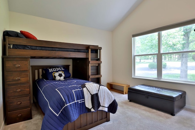 185 Tanner Rd, Branson, MO 65616 - bedroom with carpet and vaulted ceiling