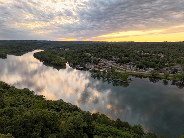 185 Tanner Rd, Branson, MO 65616 - drone / aerial view of a heavily wooded area and a nearby body of water