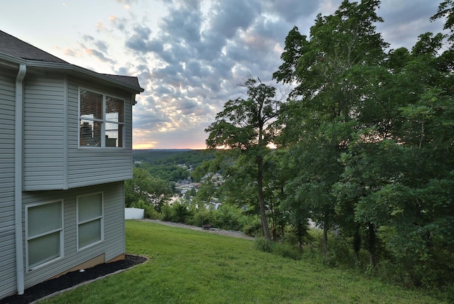 185 Tanner Rd, Branson, MO 65616 - yard at dusk featuring a yard