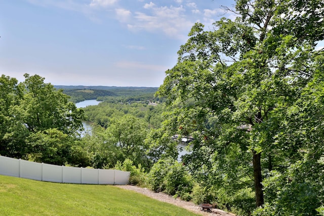 185 Tanner Rd, Branson, MO 65616 - view of yard featuring a view of trees