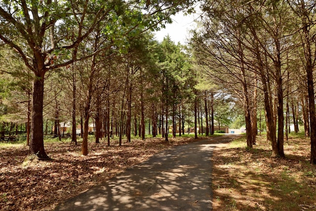 185 Tanner Rd, Branson, MO 65616 - surrounding community featuring driveway