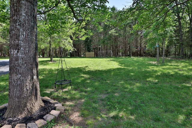 185 Tanner Rd, Branson, MO 65616 - view of grassy yard with a wooded view