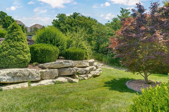 615 Crescent Dr, Hollister, MO 65672 - photo 82