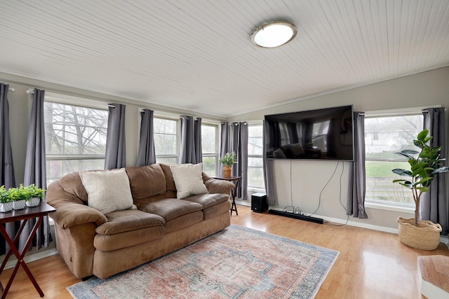 901 S 5th St, Ozark, MO 65721 - living area with lofted ceiling, healthy amount of natural light, wood finished floors, and ornamental molding