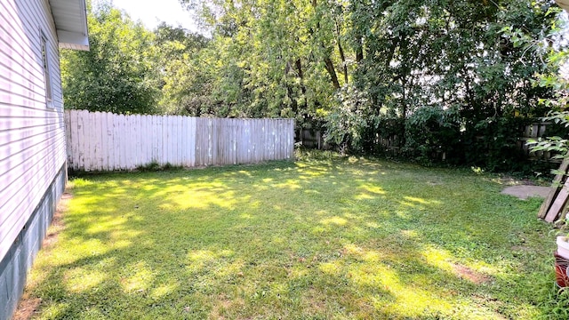 113 Circle Dr, Monett, MO 65708 - photo 4