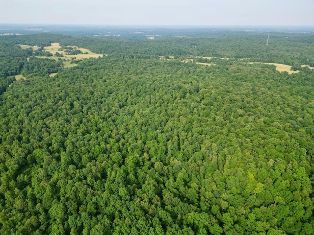 Tbd County Road 250, Thayer, MO 65791