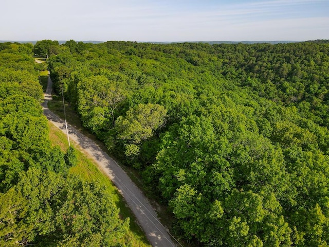 000 Mountain Estate Dr, Blue Eye, MO 65611 - photo 1