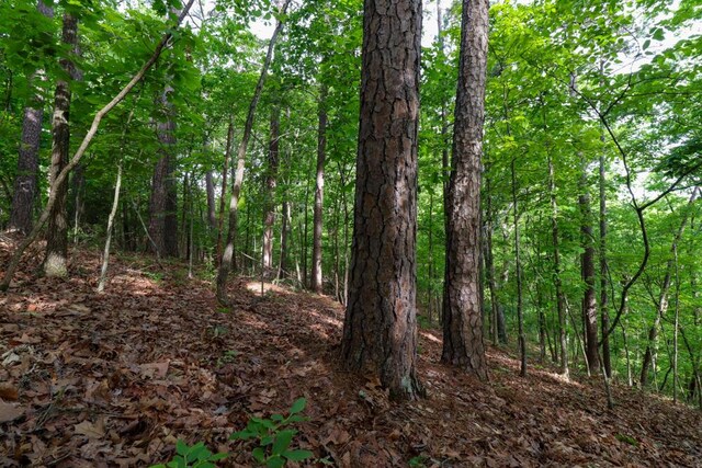 000 Mountain Estate Dr, Blue Eye, MO 65611 - photo 38
