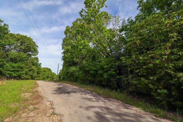 000 Mountain Estate Dr, Blue Eye, MO 65611 - photo 23