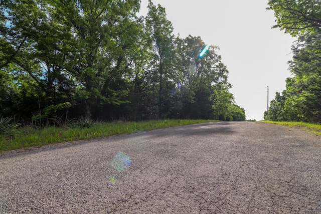 000 Mountain Estate Dr, Blue Eye, MO 65611 - photo 26