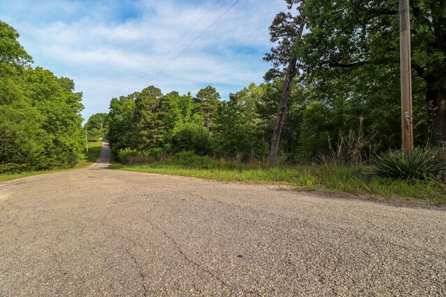 000 Mountain Estate Dr, Blue Eye, MO 65611 - photo 25