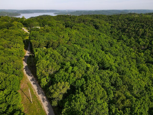 000 Mountain Estate Dr, Blue Eye, MO 65611 - photo 12