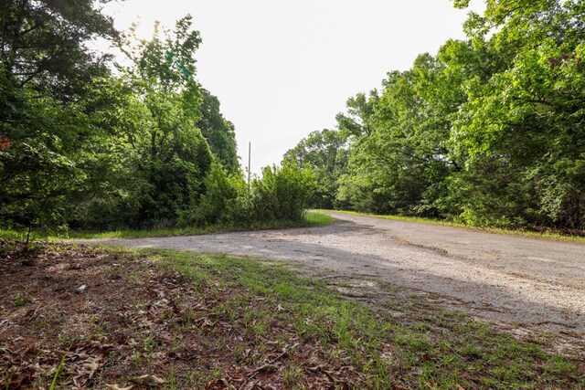 000 Mountain Estate Dr, Blue Eye, MO 65611 - photo 33