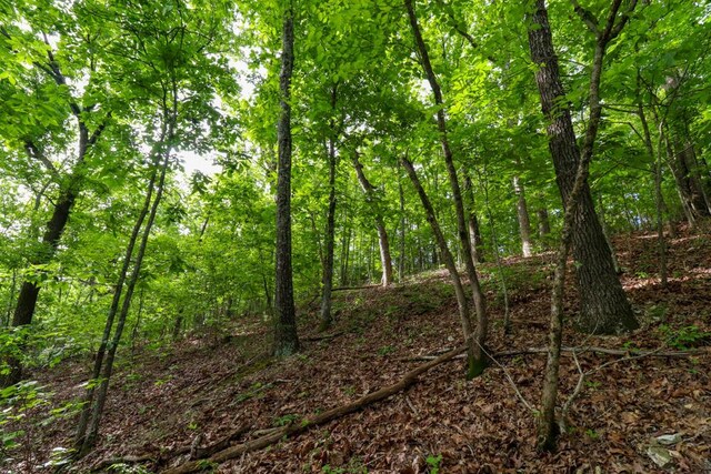 000 Mountain Estate Dr, Blue Eye, MO 65611 - photo 44