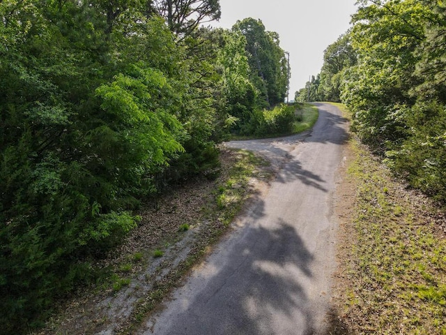 000 Mountain Estate Dr, Blue Eye, MO 65611 - photo 17