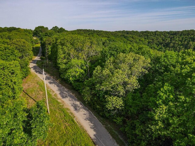 000 Mountain Estate Dr, Blue Eye, MO 65611 - photo 13