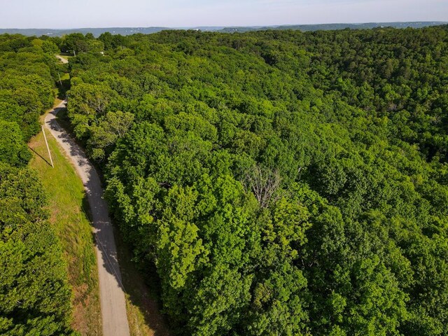 000 Mountain Estate Dr, Blue Eye, MO 65611 - photo 19