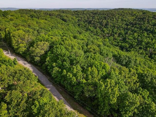000 Mountain Estate Dr, Blue Eye, MO 65611 - photo 18