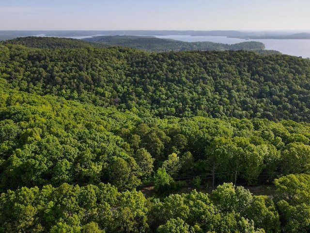 000 Mountain Estate Dr, Blue Eye, MO 65611 - photo 4