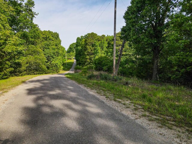 000 Mountain Estate Dr, Blue Eye, MO 65611 - photo 14