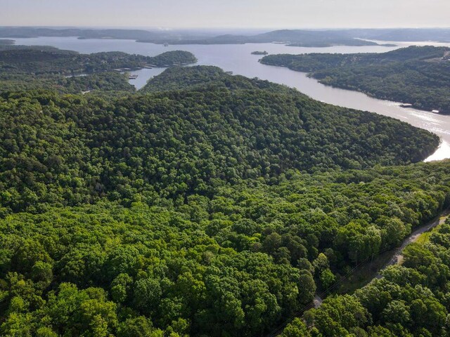 000 Mountain Estate Dr, Blue Eye, MO 65611 - photo 7