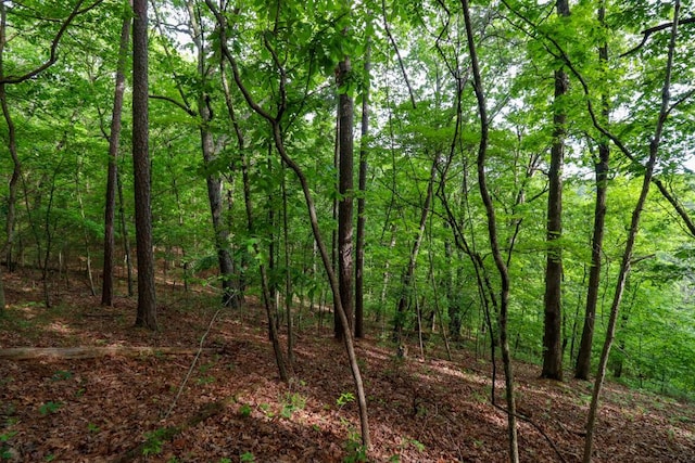 000 Mountain Estate Dr, Blue Eye, MO 65611 - photo 40