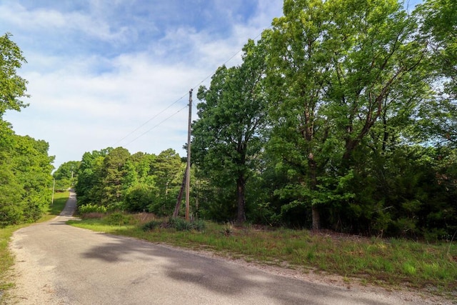 000 Mountain Estate Dr, Blue Eye, MO 65611 - photo 24
