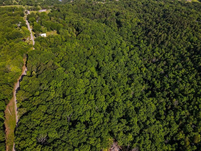 000 Mountain Estate Dr, Blue Eye, MO 65611 - photo 20