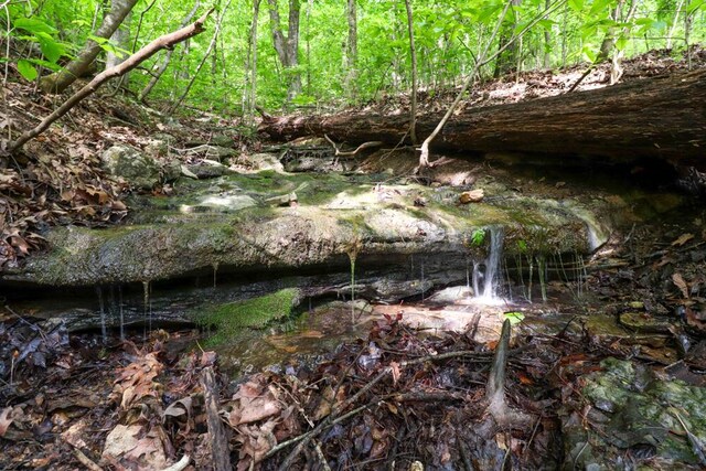 000 Mountain Estate Dr, Blue Eye, MO 65611 - photo 46