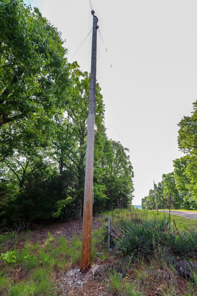 000 Mountain Estate Dr, Blue Eye, MO 65611 - photo 27