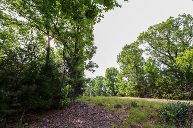 000 Mountain Estate Dr, Blue Eye, MO 65611 - photo 28
