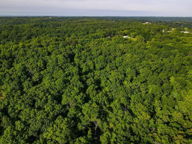 000 Mountain Estate Dr, Blue Eye, MO 65611 - photo 10