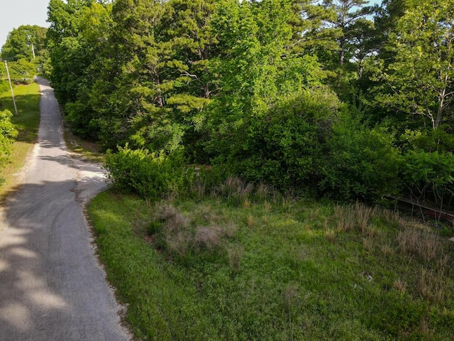000 Mountain Estate Dr, Blue Eye, MO 65611 - photo 16