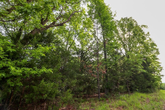 000 Mountain Estate Dr, Blue Eye, MO 65611 - photo 29
