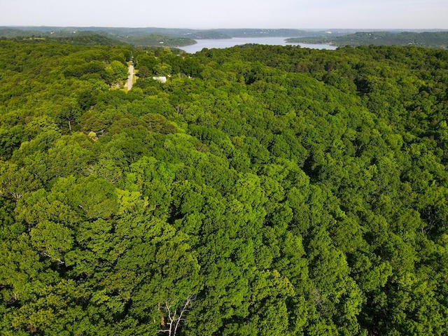 000 Mountain Estate Dr, Blue Eye, MO 65611 - photo 11