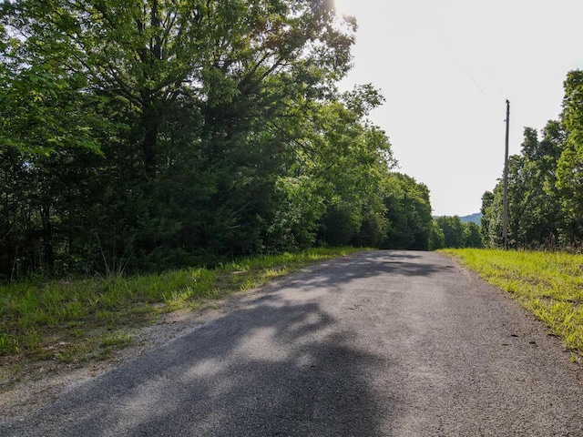 000 Mountain Estate Dr, Blue Eye, MO 65611 - photo 15