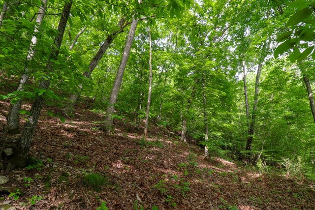 000 Mountain Estate Dr, Blue Eye, MO 65611 - photo 45