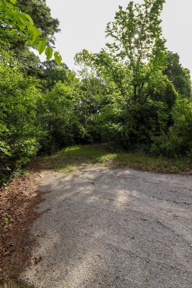 000 Mountain Estate Dr, Blue Eye, MO 65611 - photo 34