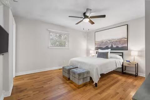 2436 S National Ave, Springfield, MO 65804 - bedroom featuring wood finished floors and ceiling fan