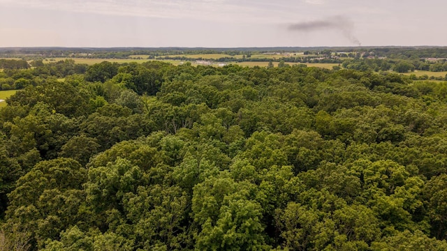 1138 County Road 8120, West Plains, MO 65775 - photo 6