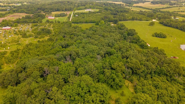 1138 County Road 8120, West Plains, MO 65775 - photo 7